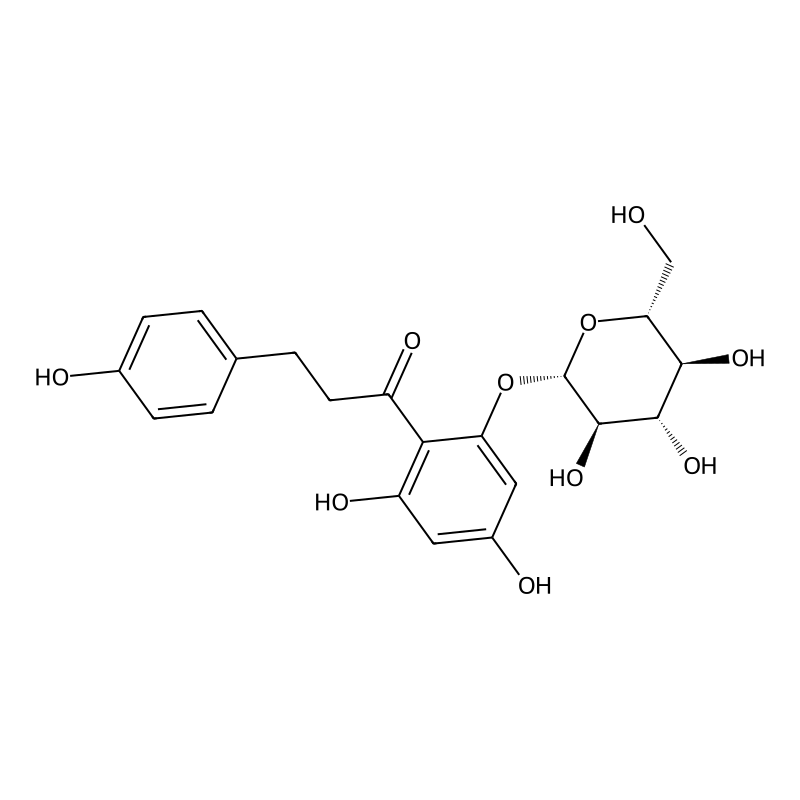 phlorizin powder.png